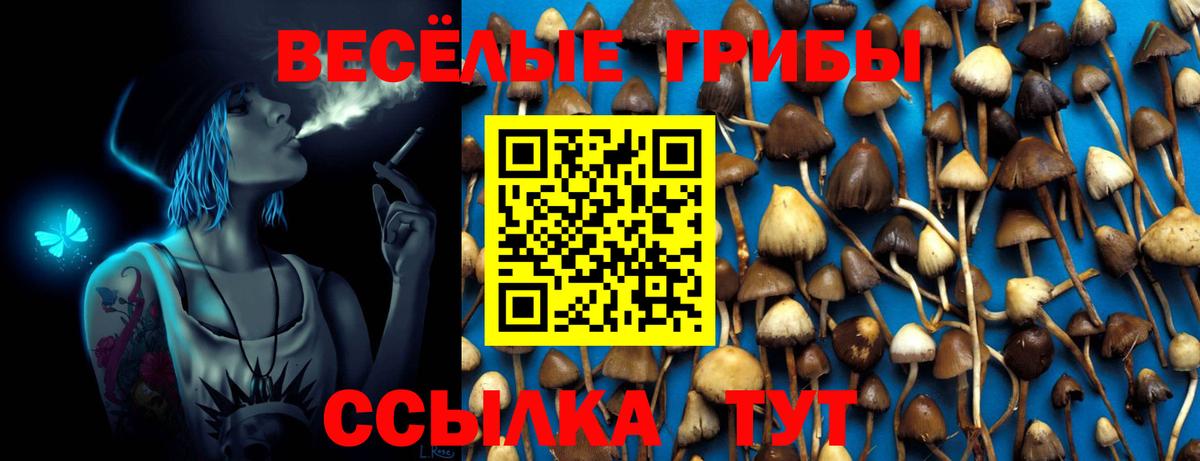 Галлюциногенные грибы Cubensis Горно-Алтайск
